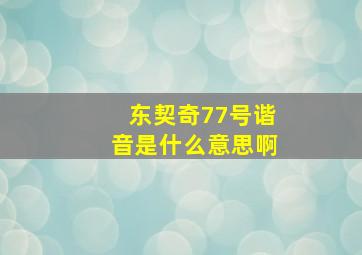 东契奇77号谐音是什么意思啊