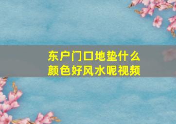 东户门口地垫什么颜色好风水呢视频