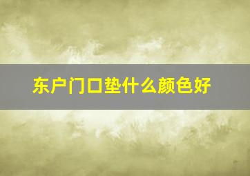 东户门口垫什么颜色好