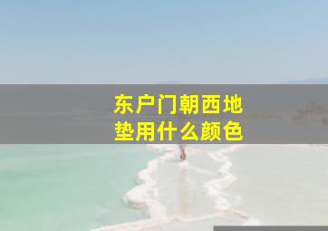 东户门朝西地垫用什么颜色