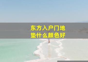 东方入户门地垫什么颜色好