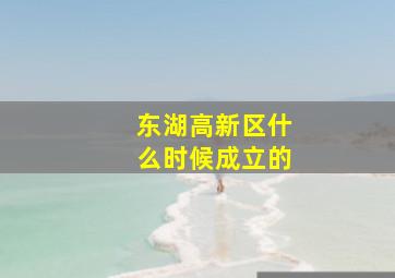 东湖高新区什么时候成立的