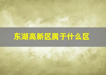 东湖高新区属于什么区