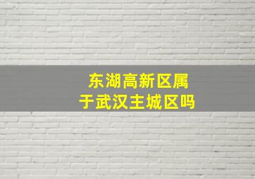 东湖高新区属于武汉主城区吗