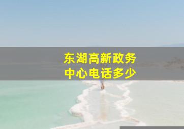 东湖高新政务中心电话多少