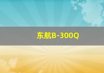 东航B-300Q