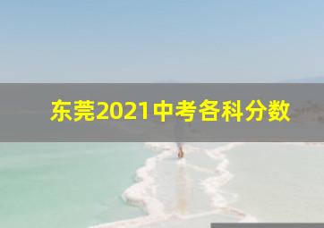 东莞2021中考各科分数