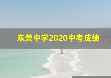 东莞中学2020中考成绩