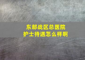 东部战区总医院护士待遇怎么样啊