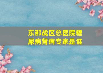 东部战区总医院糖尿病肾病专家是谁