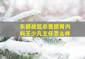 东部战区总医院肾内科王少凡主任怎么样