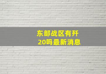 东部战区有歼20吗最新消息