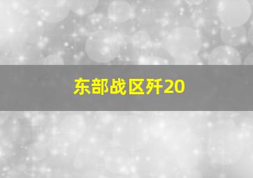 东部战区歼20