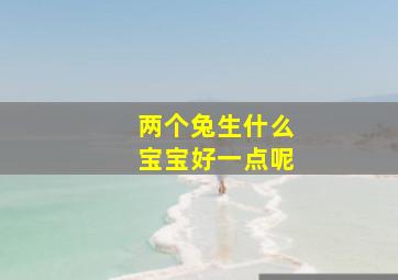 两个兔生什么宝宝好一点呢