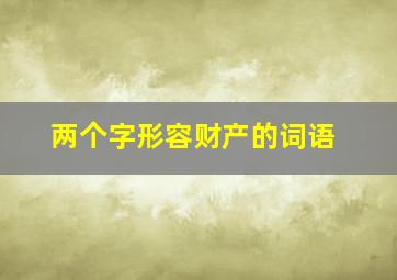 两个字形容财产的词语