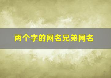 两个字的网名兄弟网名