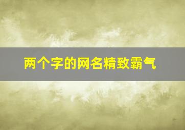 两个字的网名精致霸气