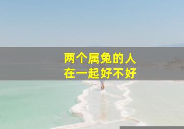 两个属兔的人在一起好不好