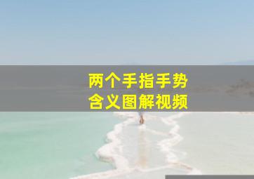 两个手指手势含义图解视频