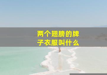 两个翅膀的牌子衣服叫什么