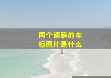 两个翅膀的车标图片是什么