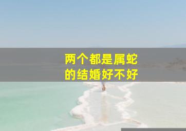 两个都是属蛇的结婚好不好