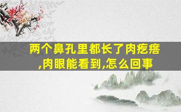 两个鼻孔里都长了肉疙瘩,肉眼能看到,怎么回事