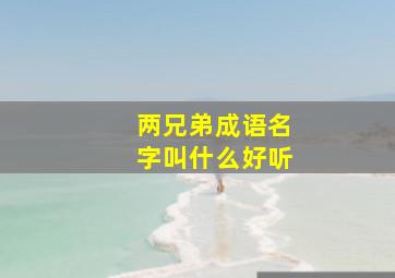 两兄弟成语名字叫什么好听