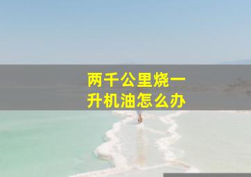 两千公里烧一升机油怎么办