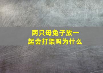 两只母兔子放一起会打架吗为什么