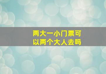 两大一小门票可以两个大人去吗