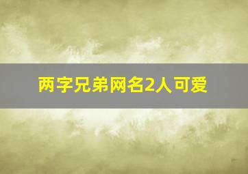 两字兄弟网名2人可爱