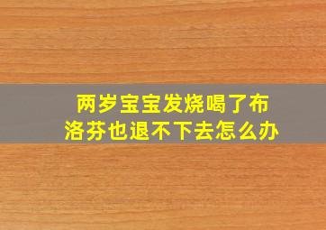 两岁宝宝发烧喝了布洛芬也退不下去怎么办