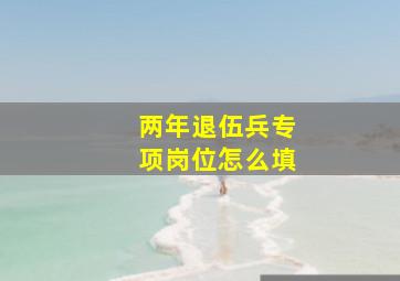 两年退伍兵专项岗位怎么填