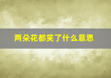 两朵花都笑了什么意思