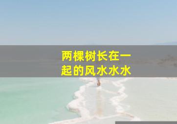 两棵树长在一起的风水水水