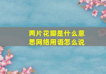 两片花瓣是什么意思网络用语怎么说