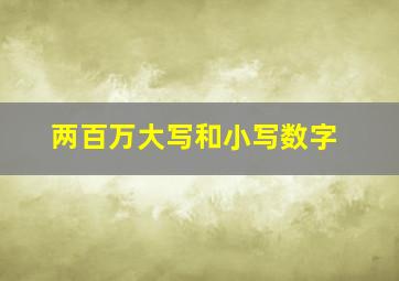 两百万大写和小写数字