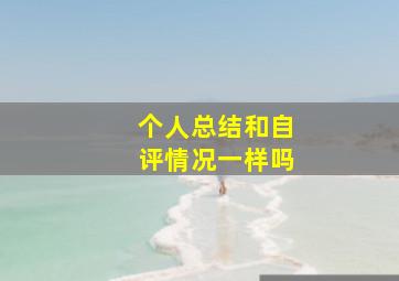 个人总结和自评情况一样吗