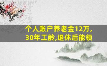 个人账户养老金12万,30年工龄,退休后能领