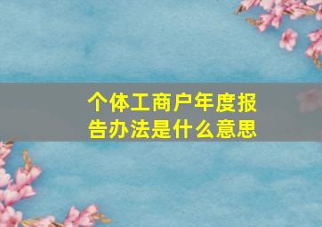 个体工商户年度报告办法是什么意思