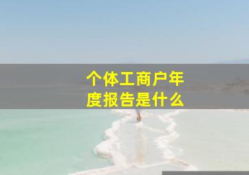 个体工商户年度报告是什么