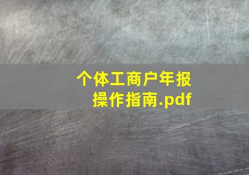 个体工商户年报操作指南.pdf