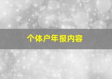 个体户年报内容