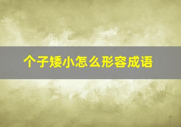 个子矮小怎么形容成语