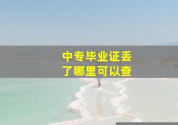 中专毕业证丢了哪里可以查