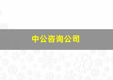 中公咨询公司