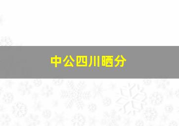 中公四川晒分