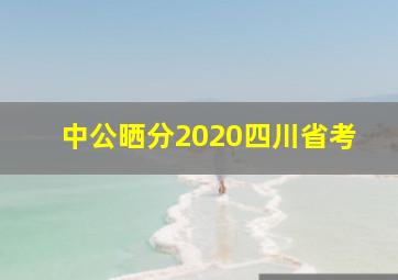 中公晒分2020四川省考