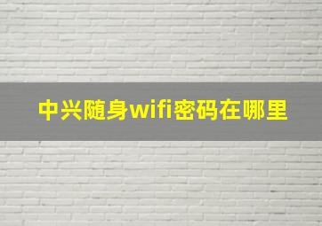 中兴随身wifi密码在哪里